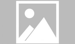 娱乐圈的吃瓜小说推荐,幕后风云，瓜田乱舞，揭秘明星们的爱恨情仇